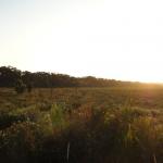 Cape Conran Coastal Park